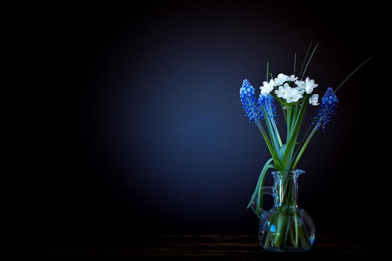 Low-Maintenance Flowers