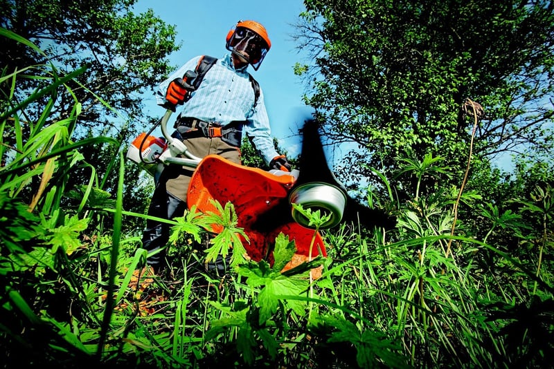 Local Gardening