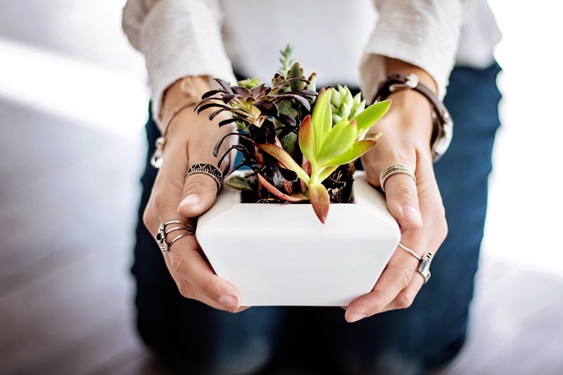 Plastic Pots